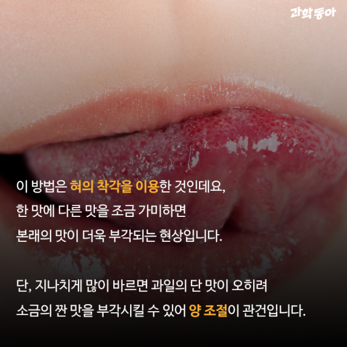 (주)동아사이언스 제공